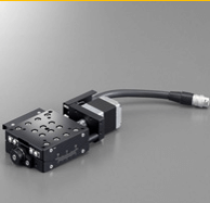 GMPG Worm Gear