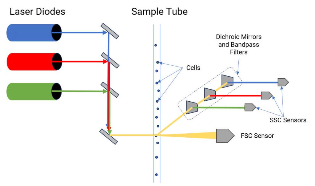 Co-linear Arrangement of Flow Cytometry