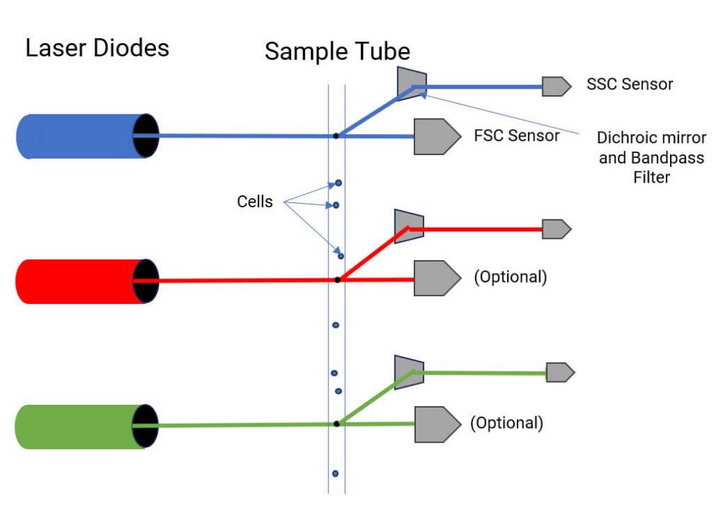 Parallel Arrangement of Flow Cytometry